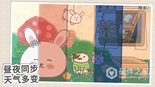 主播和猫的故事