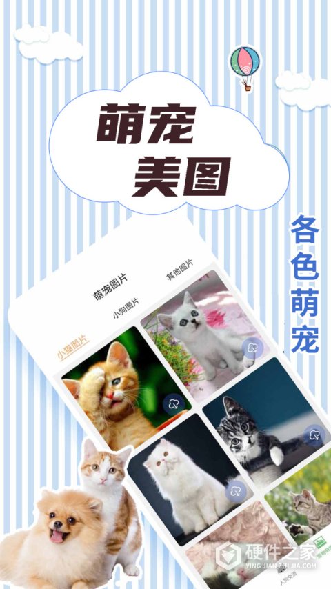 人猫翻译交流器