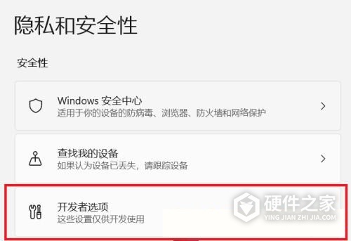 Win11如何开启开发者选项