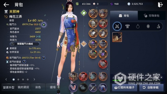 黑色沙漠国际服中文版