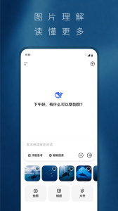 DeepSeek