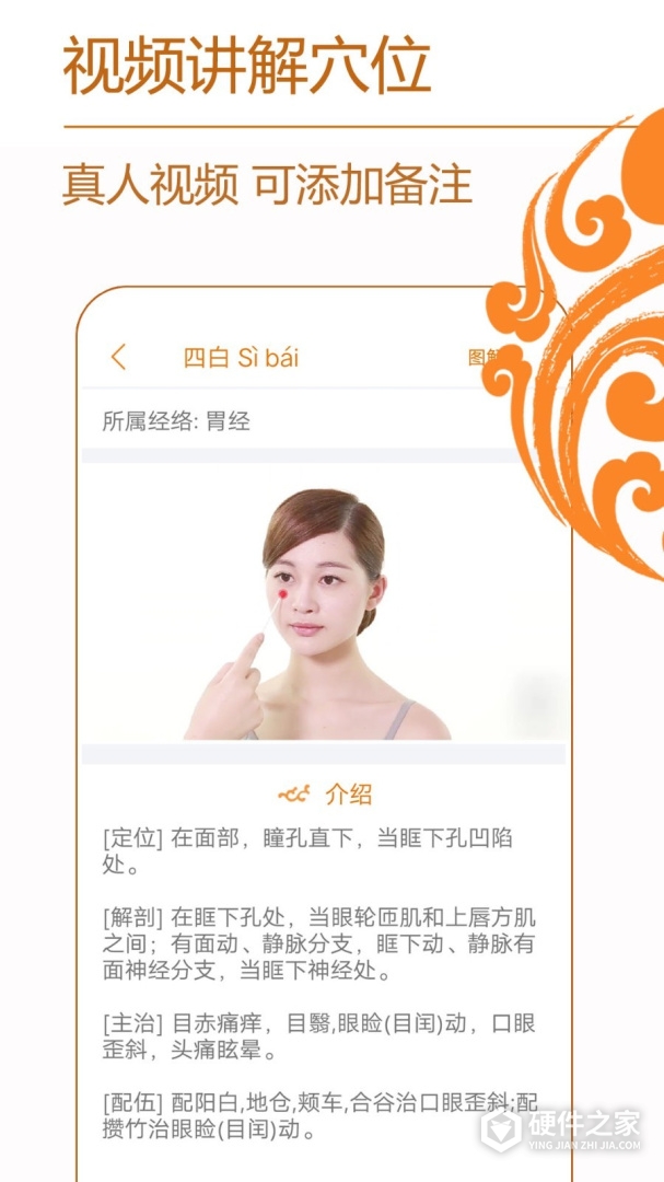 经络养生