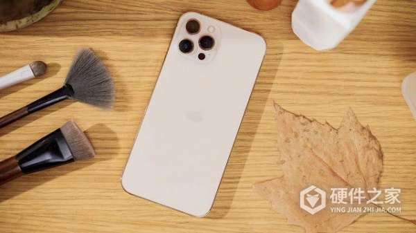 13promax进水蓝屏怎么办