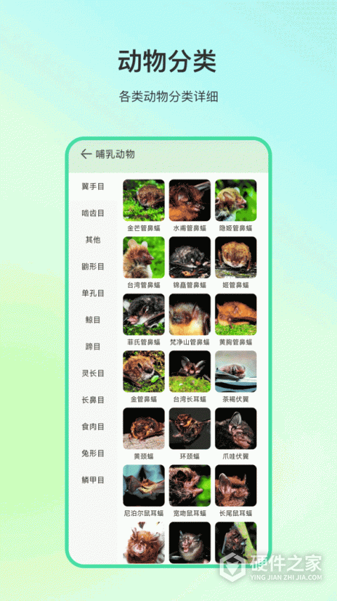 动物百科app