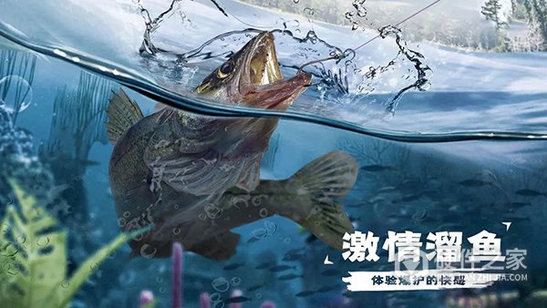 天天钓鱼官方正版