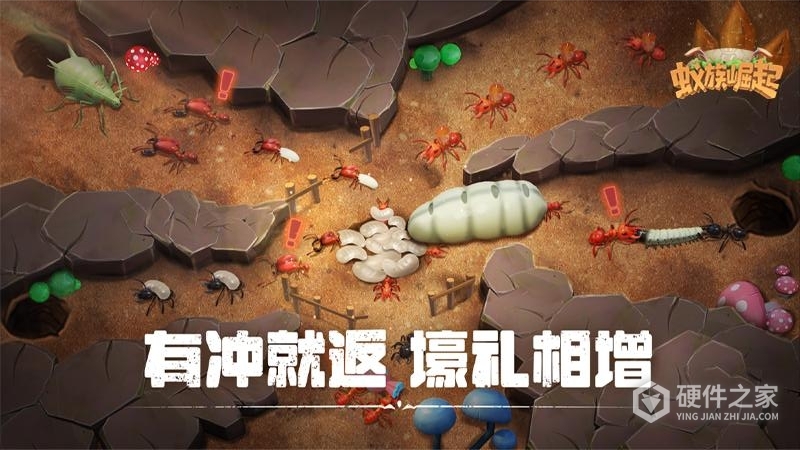 蚁族崛起