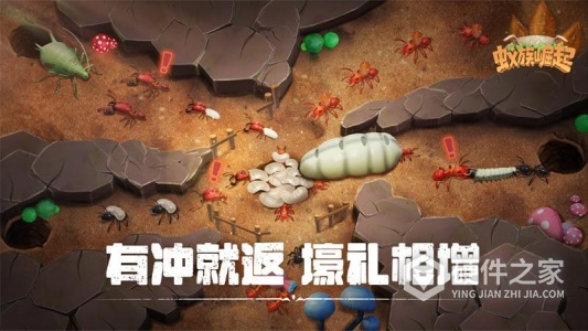 蚁族崛起