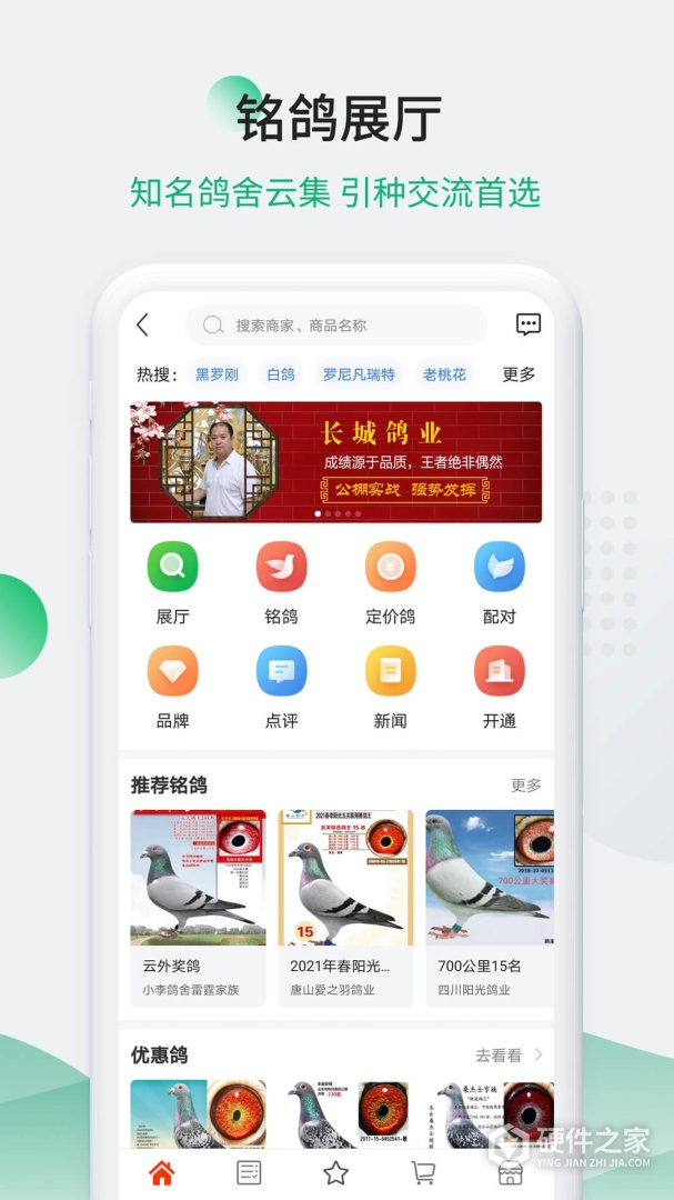 中国信鸽信息网