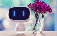 小度怎么设置对话