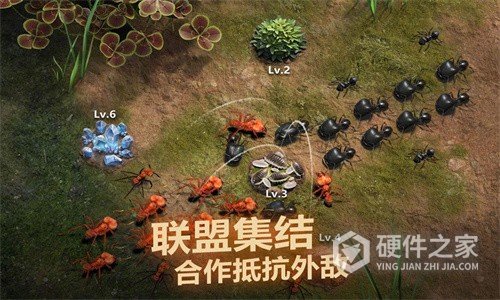 小小蚁国手机版