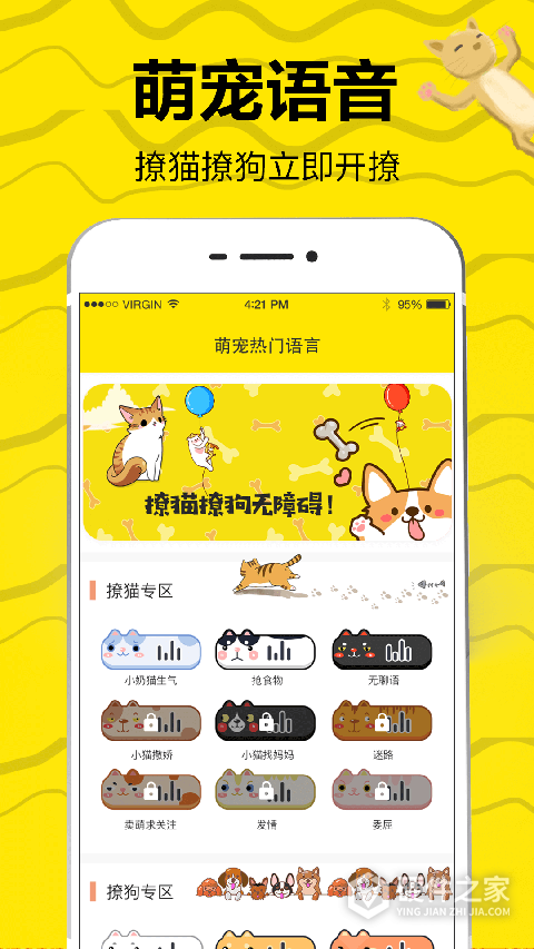 猫语翻译