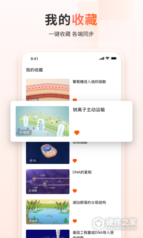 火花学院