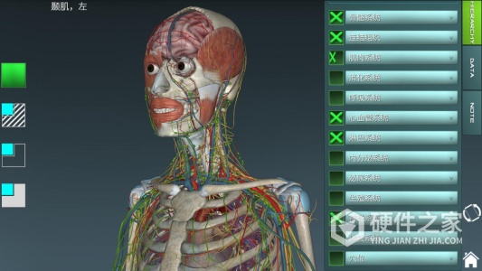 人体解剖学图集