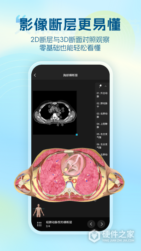 维萨里3D解剖app
