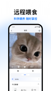 Catlink