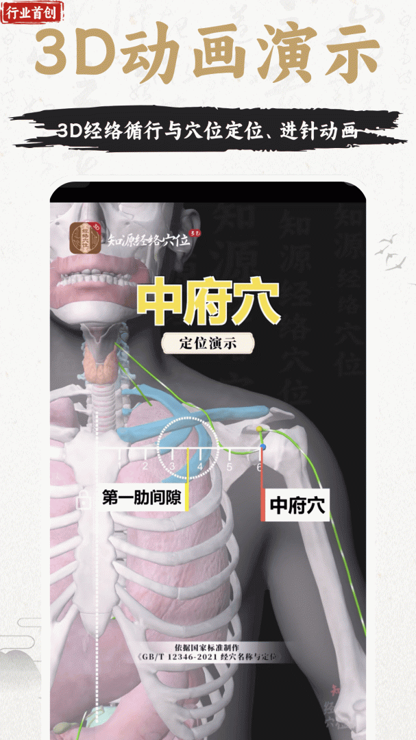 中济经络穴位官方版