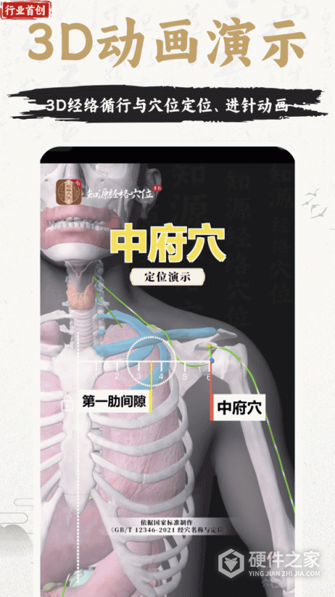 中济经络穴位官方版