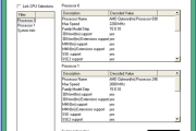 AMD CPUInfo(AMD CPU信息检测工具)