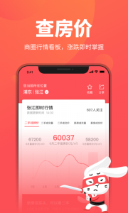 兔博士