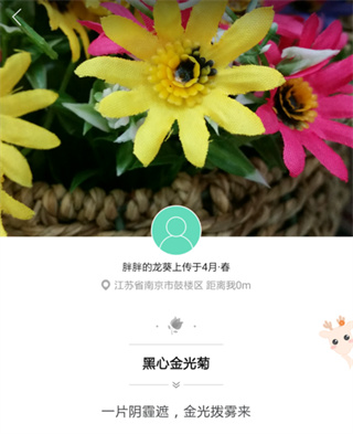 形色植物识别app