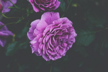 手机tf卡数据恢复方法