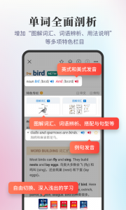 新牛津英汉双解大词典
