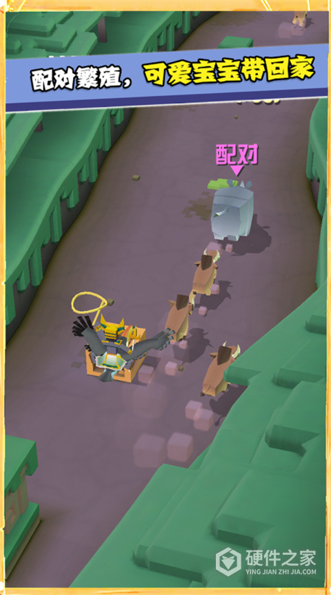 疯狂动物园国际服