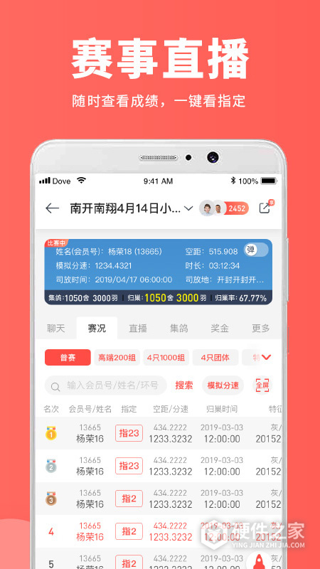 搜鸽网