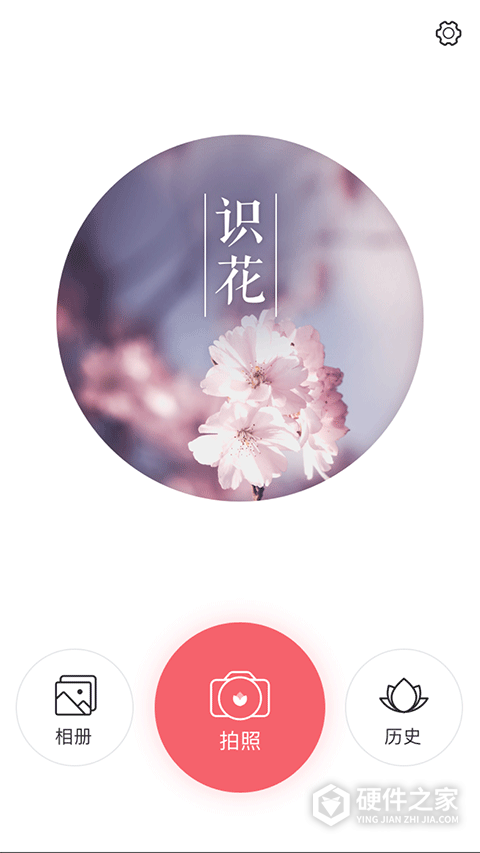 识花