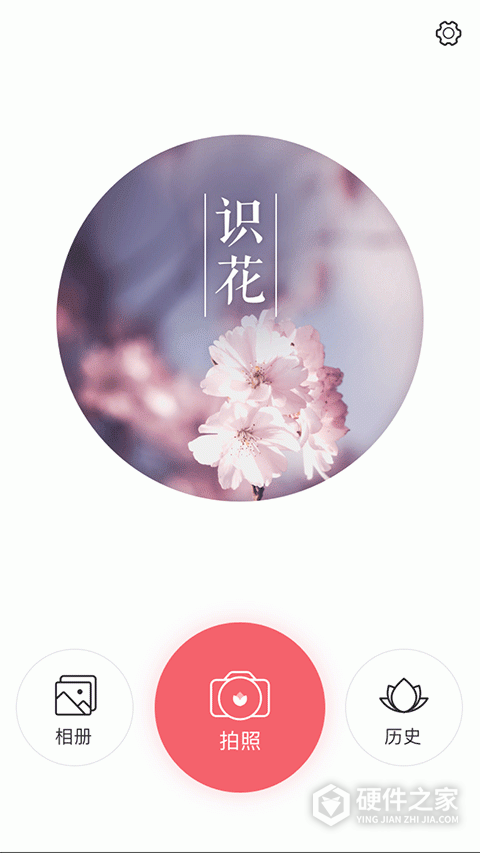识花手机软件