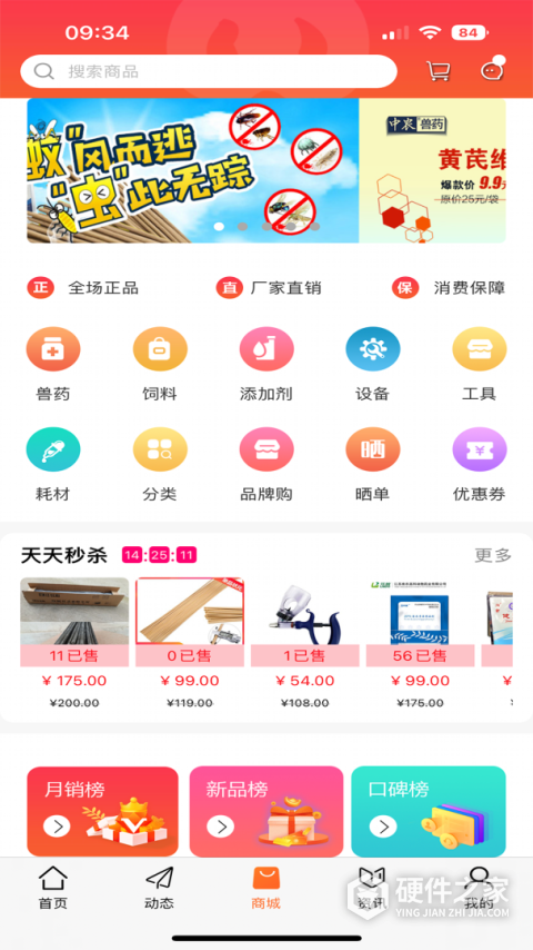 金猪
