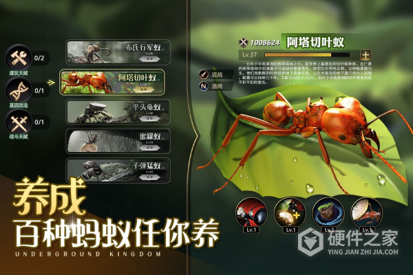 小小蚁国2023最新版