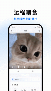 Catlink