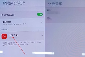小米11pro在哪查看智能密码管理