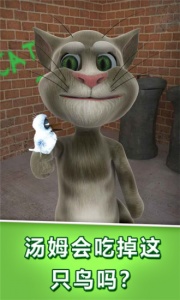 会说话的汤姆猫谷歌版