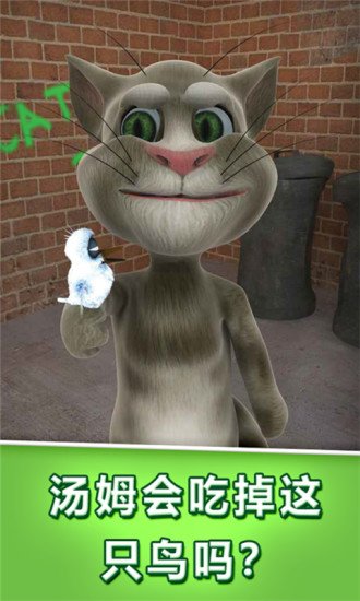 会说话的汤姆猫谷歌版