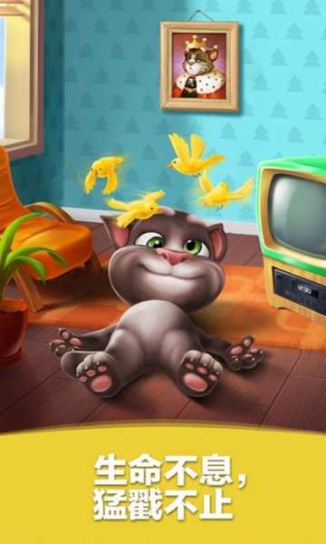 我的汤姆猫历史版