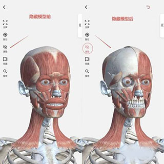 3Dbody解剖app