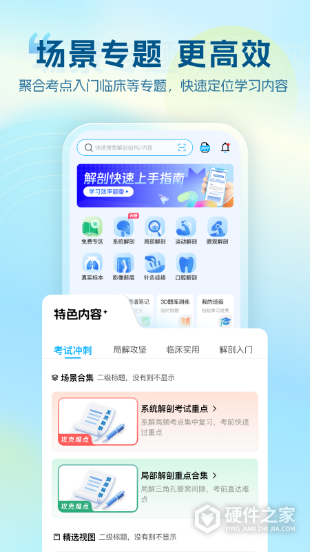 维萨里3D解剖