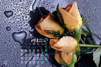 怎么恢复保密柜文件