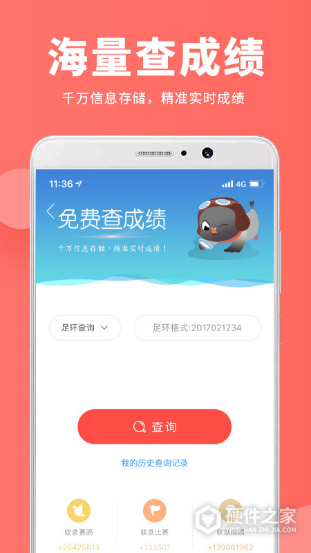 搜鸽网