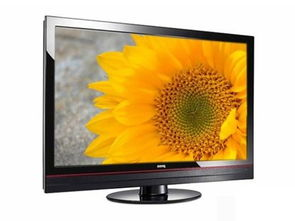BENQ明基G2420HDB液晶显示器驱动