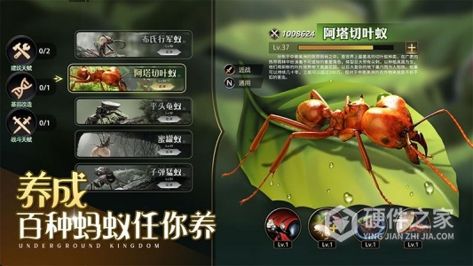 小小蚁国测试版