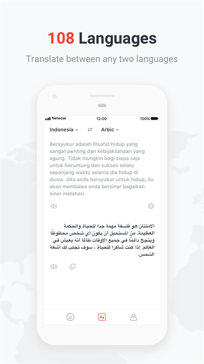 有道词典国际版