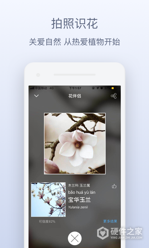 花伴侣