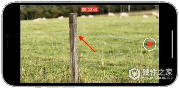 如何使用iPhone 13在“电影效果”模式下拍摄视频