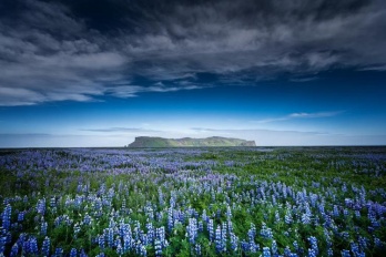 手机清除数据后相册恢复方法