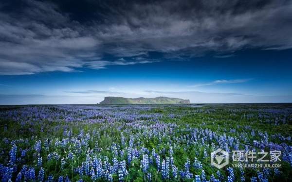 手机清除数据后相册恢复方法