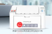 奔图p2506w打印机共享怎么弄