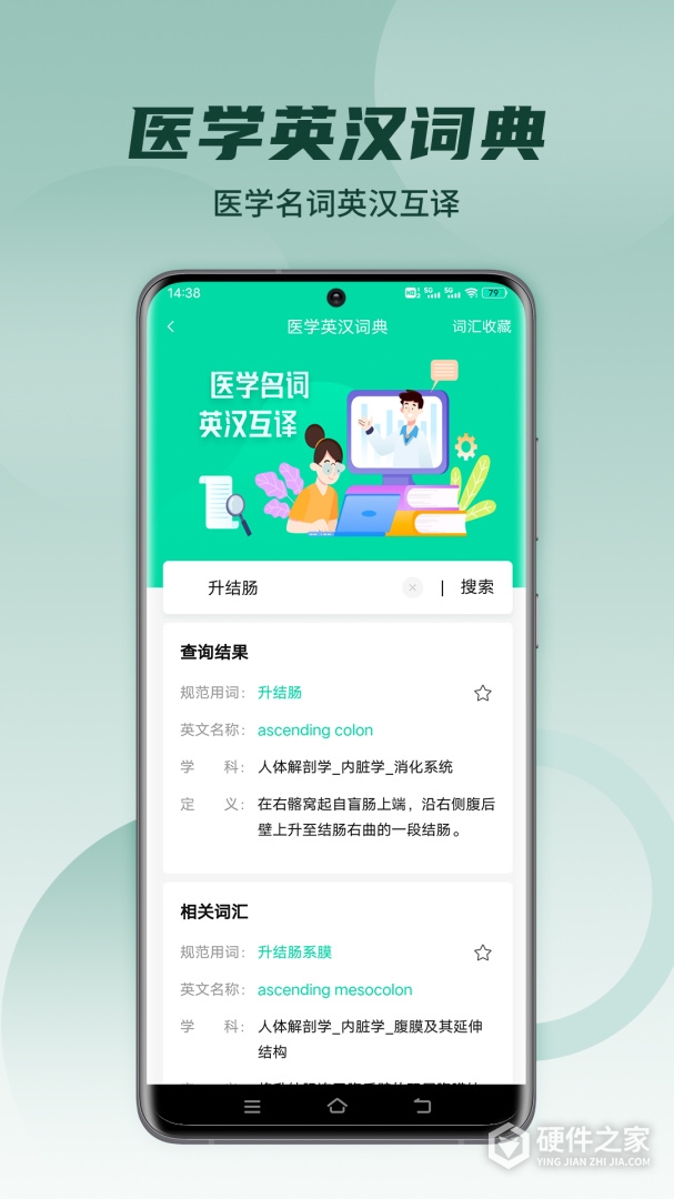 医维度解剖